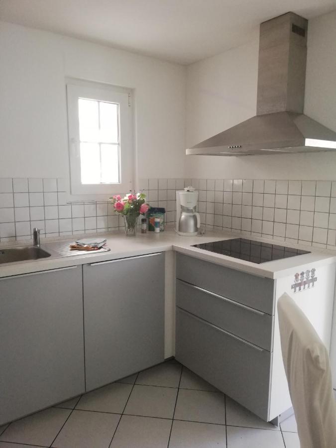 Ferienwohnung am Bodensee Wintergarten und Garten mit Grillhaus Uhldingen-Mühlhofen Exterior foto